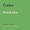 Sankaku - Dan Cosley