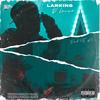 D' Larva (Explicit) - Larking