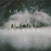 Selfish Love (Forest Version) - Cheeky
