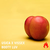 Booty Luv (Original Mix) - Usica&Vissex