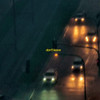 Don't Leave - Hales