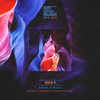 Beauty of Nature (Looper Remix) - Nico P&Looper (BE)