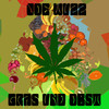 Gras und Obst (Explicit) - Joe WuzZ