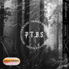Tränen der Nacht - P.T.B.S.&INSANE INDUSTRY