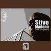 Dark Symphony (Original Mix) - Stive Madenn