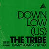 The Tribe (Harry Romero Remix) - DOWNLow (US)
