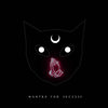 Mantra for Success (Hypnotic Edit) - Magnus Deus&Ghost In The Shell&Mark Holiday