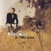 BBC - Blue House