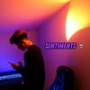 Sentiments (feat. Slo) (Explicit) - Kelox&Slo