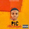 Jungle (Explicit) - P.I.C&Quirk Georgie&El Presidente