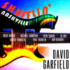 Shufflin' Nashville - David Garfield&Brent Mason&Paul Franklin&Michael Thompson&Oz Noy&Toshi Yanagi&Dan Dugmore&Davide Pannozzo