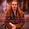 How to Calm a Wandering Mind - Dan Walter
