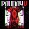 PAUNAY12 - Saad Khan&Ashar