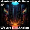 The Universe - We Are Not Analog