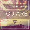 You Are(Feat. Siedah Wilson) - The Larry Wilson&Siedah Wilson