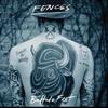 Buffalo Feet - Fences