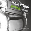Artemis (Original Mix) - Mojo Rising&Dmitry Sereda&Stormy Rayner&DJ Liquid