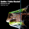 Hold Me - Qubiko&Fabio Ricciuti