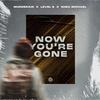 Now You're Gone - Murdbrain&Level 8&Shea Michael&Jonas Altberg&Theo Nabuurs