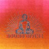 Sound Divine (Explicit) - SLYTE