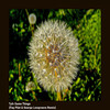 Same Thngs (Fog Pilot , George Lowgroove Remix) - Tytt&Fog Pilot&George Lowgroove
