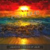 The Eve Of Liquid (Original Mix) - IntelliQuid