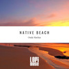 Shine On Your Crazy Diamond (Original Mix) - Native Beach