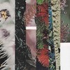 Setting Myself Free(feat. iiiso) - Tangled Memories&iiiso