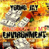 Trap Girl[feat. Young E & Shine A Light] (Rock Remix) - Young Jay