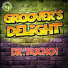 Groover's Delight (Radio Edit) - Dr. Kucho!