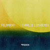 Filament (Charlie Lim Remix) - WONK&Charlie Lim