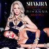 Can't Remember To Forget You - Shakira&Rihanna