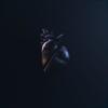 Hearts (feat. Deco Comprehension) (Explicit) - Bart Kobain&Deco Comprehension