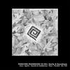 Swamp Funk - Ibunshi&Indidjinous