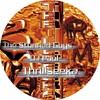 Thrillseeka (T-Factor rmx|Explicit) - The Stunned Guys&DJ Paul
