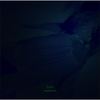 Get High - Luko