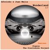 Pisco Funk (Pigsie Remix) - Afroloko&Pigsie