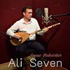 Susuz Baharlar - Ali Seven