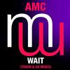 Wait (Touch & Go Radio Edit) - AMC&Touch & Go