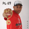 Curtir a Vida - MC K9