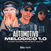 Automotivo Melódico 1.0 (Explicit) - Felipe Mc&Dj Gaby Soares&Cadu DJ&Gabriela Soares da Silva&Felipe Viana Policate