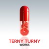 Indngngst (Original Mix) - Terny Turny