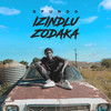 Izindlu Zodaka - Sfundo