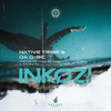 Inkozi - Native Tribe&Da Q-Bic&Thab De Soul&Shona SA