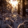 Luminescent - Sparkle&Skyvoice