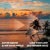 Like This Life (Extended Mix) - David Briph&Mr Gene Poole