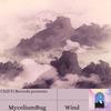 Wind - MyceliumBug&Chill Fi Records