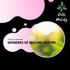 Healing Red Woods (Original Mix) - Calcutta Dreams