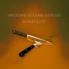 Worm Hole - Windeskind&Dominik Saltevski