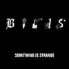 Something Is Strange - birds